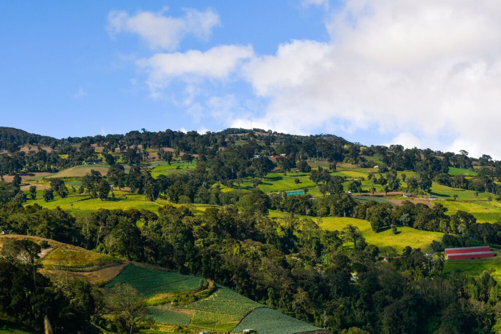 Ipís, Costa Rica: caminar el borde de San José entre cafetales y quebradas