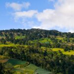 Ipís, Costa Rica: caminar el borde de San José entre cafetales y quebradas