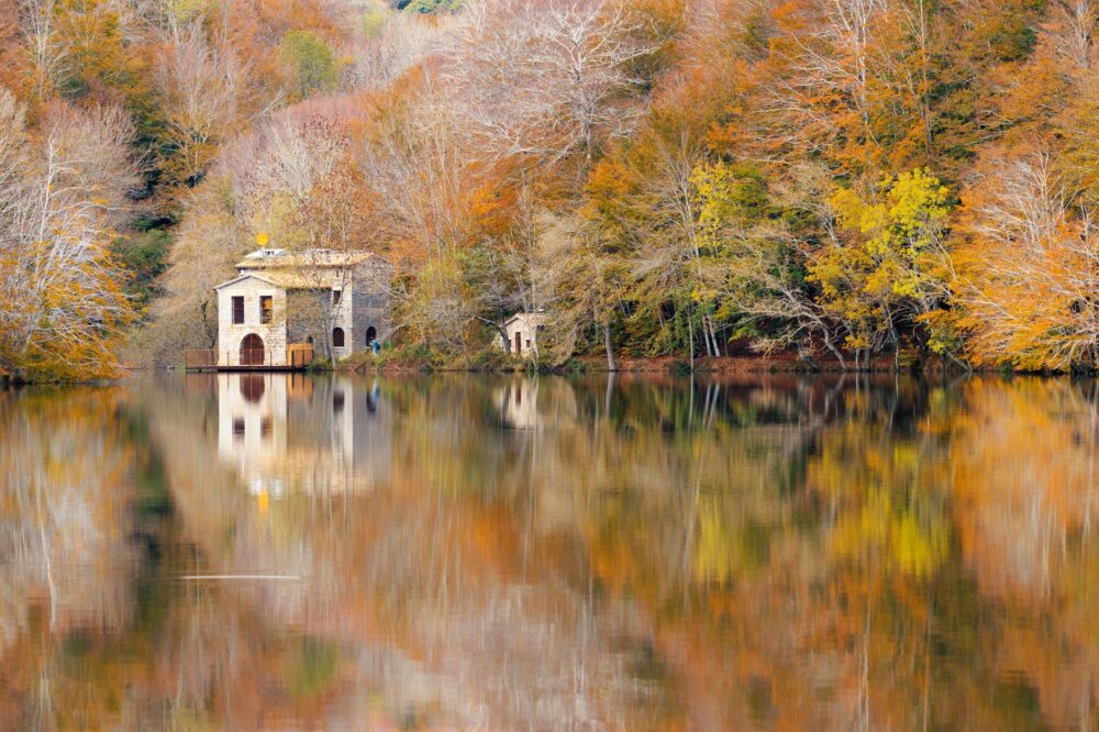 Selva de Irati, Navarra: el bosque que se explora con respeto y sin prisa