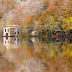 Selva de Irati, Navarra: el bosque que se explora con respeto y sin prisa