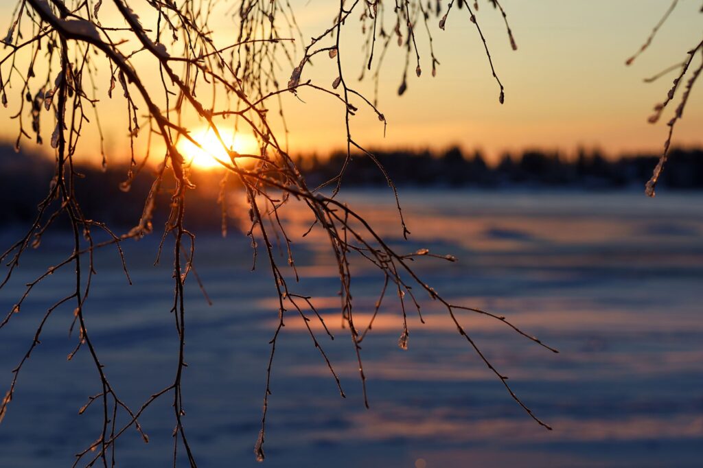 Oulu, Finlandia: bicicletas de invierno y barrios que se recorren a resguardo del frío