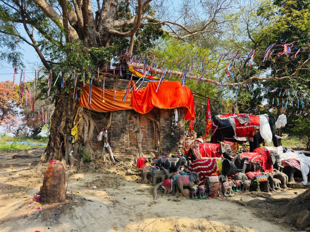 Butwāl, Nepal: el pulso comercial y cotidiano del Terai occidental entre mercados y colinas