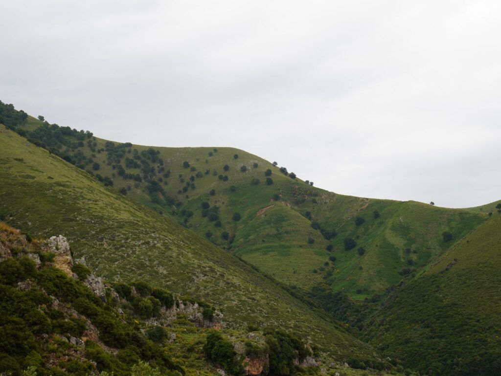Chiloé: la isla que teje su futuro entre iglesias de madera y mareas