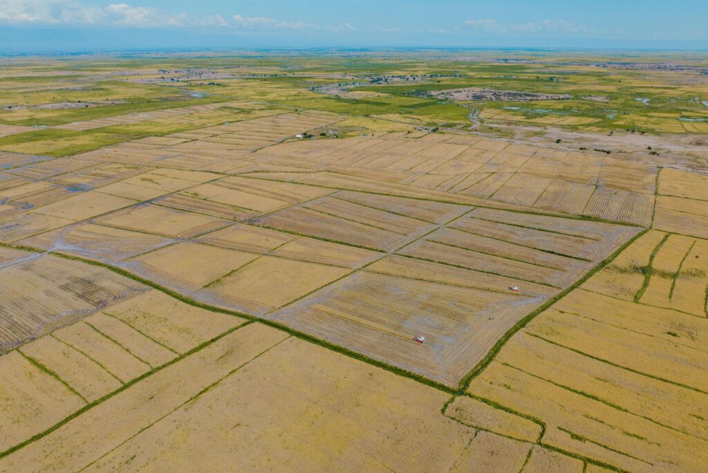 Bariadi, Tanzania: la capital del algodón que Tanzania apenas mira
