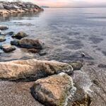 Mississauga, Canadá: el crédito de carbono que financia la conservación urbana