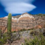 El alma de la piedra: los últimos canteros de la Sierra de la Ventana