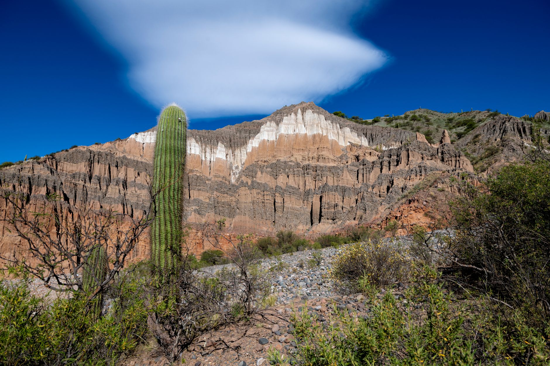 El alma de la piedra: los últimos canteros de la Sierra de la Ventana