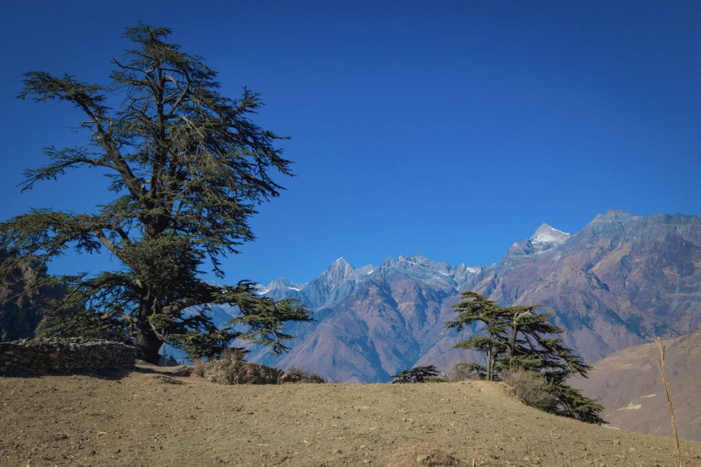 Sagarmatha, Nepal: el parque nacional donde los glaciares retroceden y los sherpas sostienen la montaña