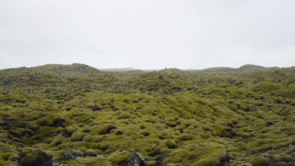 Hafnarfjörður, Islandia: una ciudad que se lee en la lava, el puerto y la memoria