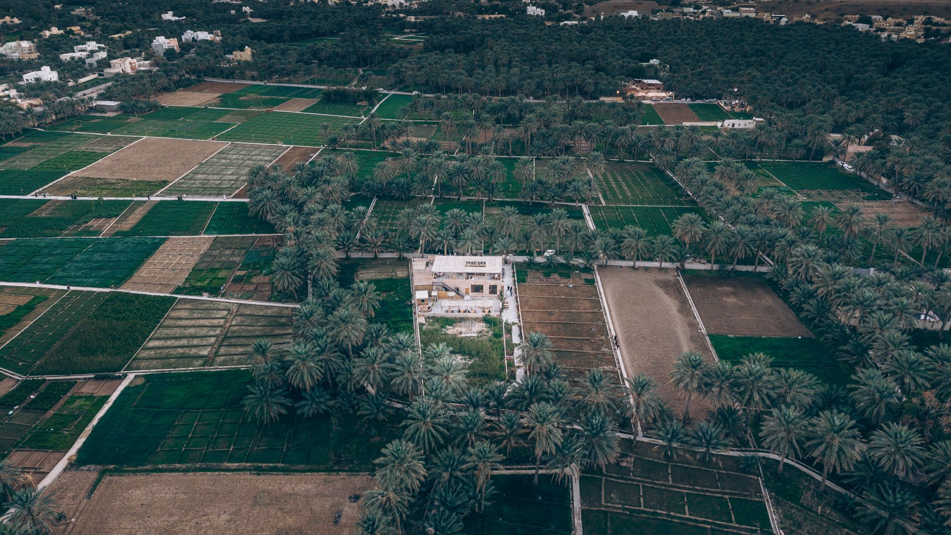Al Buraymī, Omán: el oasis fronterizo donde la vida se mide en palmeras y acequias