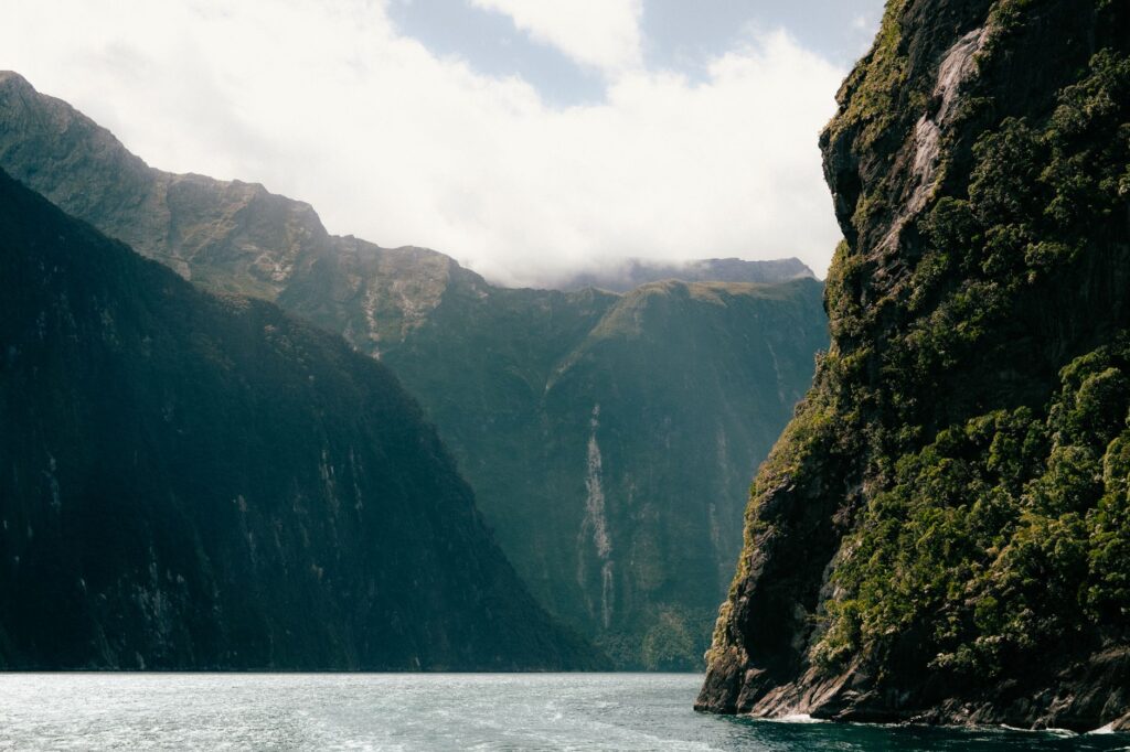 Te Wahipounamu, Nueva Zelanda: decisiones que protegen el último bosque templado de Gondwana