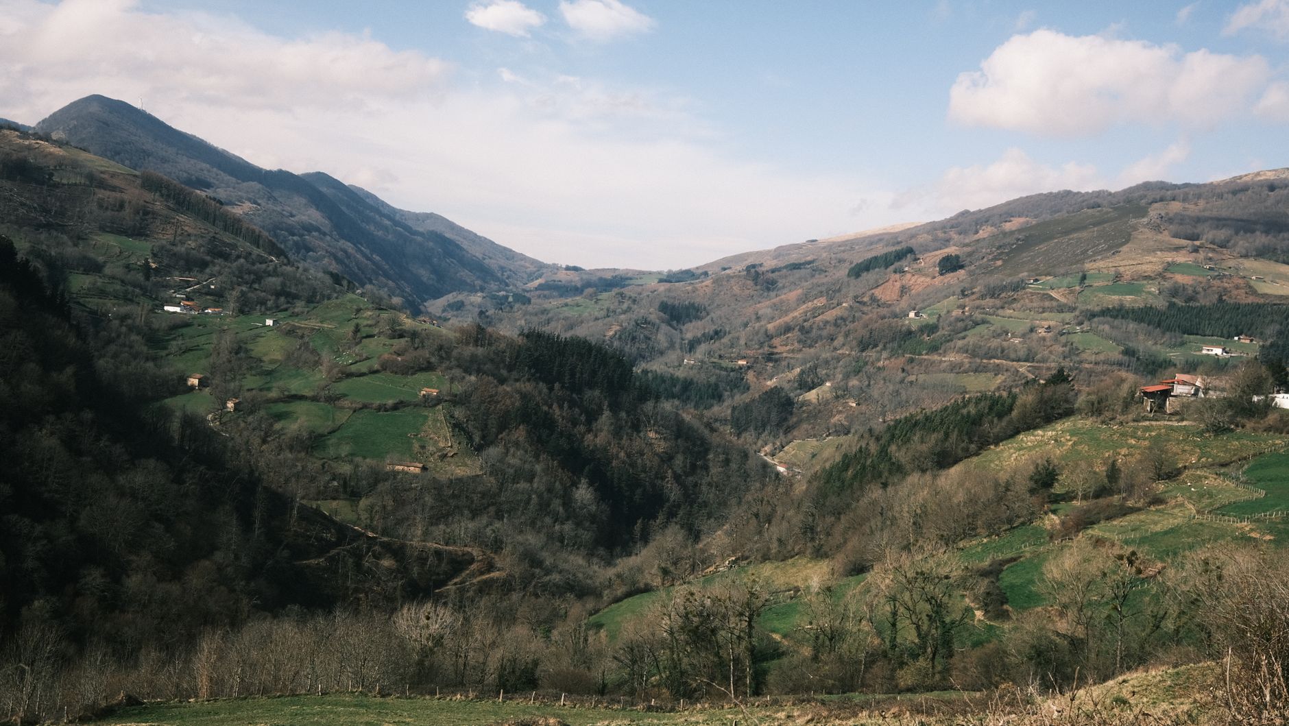 Selva de Irati, Navarra: el bosque que se recorre con permiso y paciencia
