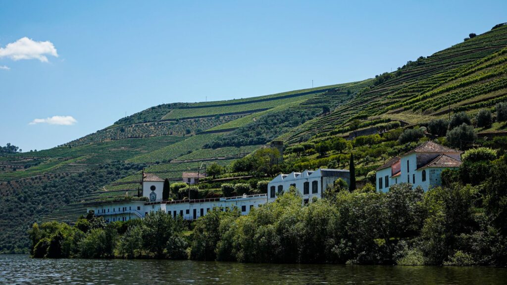 Alto Douro: el paisaje que el vino esculpió durante dos mil años