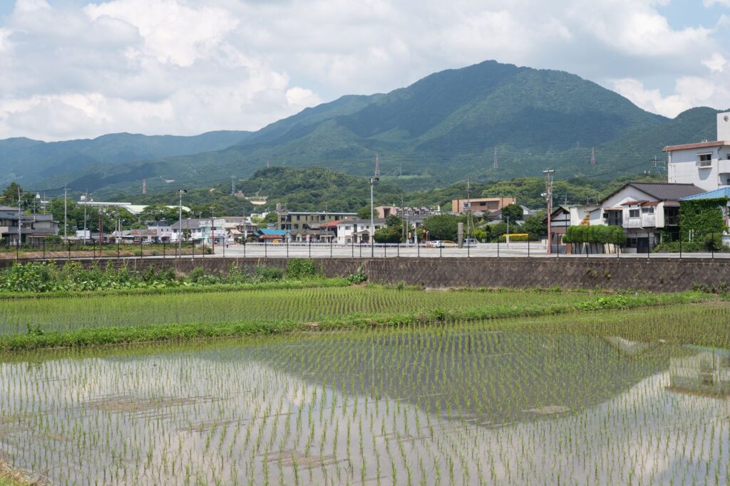 Kioto, Japón: el mapa de barrios históricos que los viajeros aún no han saturado