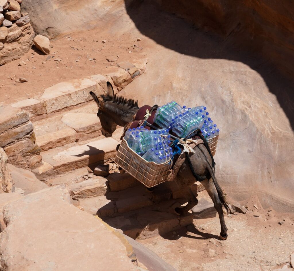 Petra, Jordania: la ciudad tallada en roca que late bajo el desierto