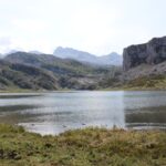 Osos en la cordillera Cantábrica: cómo observar la fauna salvaje sin alterar su hogar