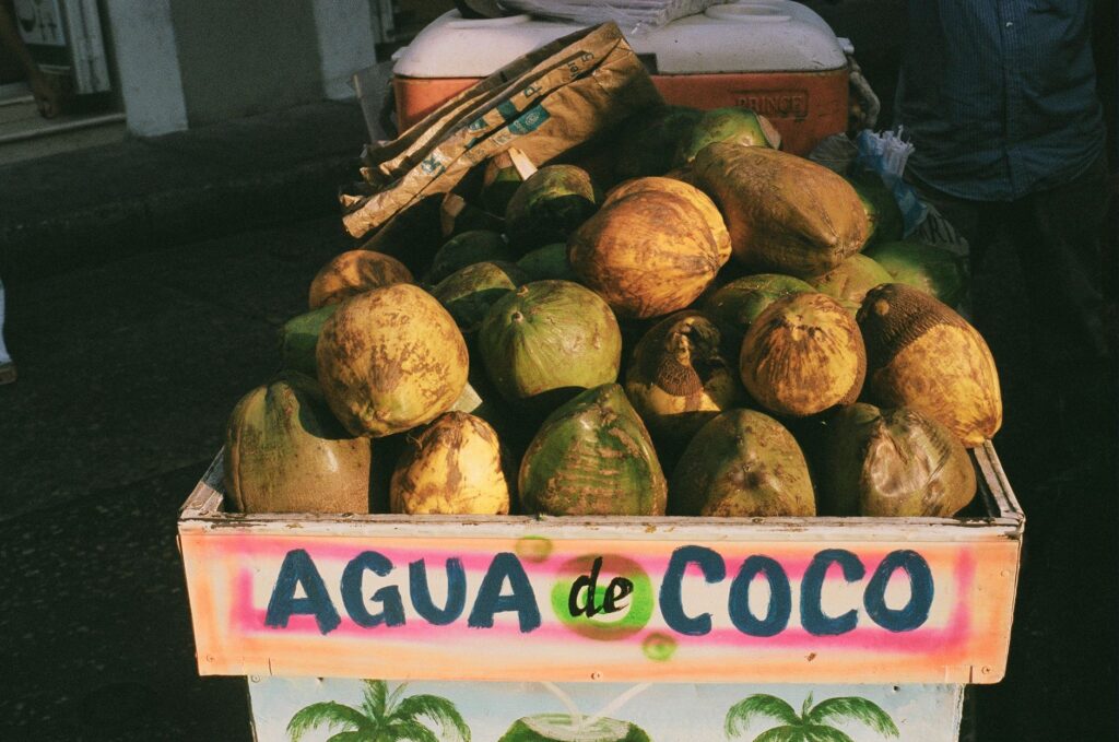 Cartagena de Indias: murallas que sostienen la memoria viva del Caribe colombiano