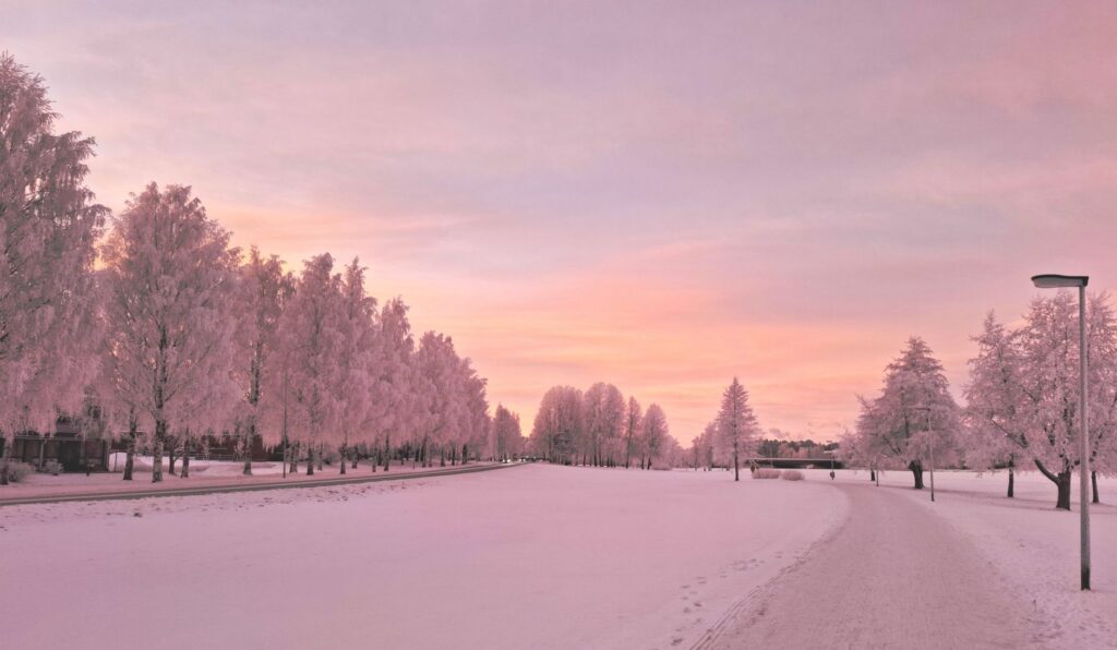 Oulu, Finlandia: bicicletas de invierno y barrios que se recorren a resguardo del frío