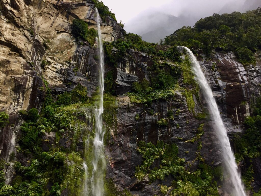 Te Wahipounamu, Nueva Zelanda: decisiones que protegen el último bosque templado de Gondwana