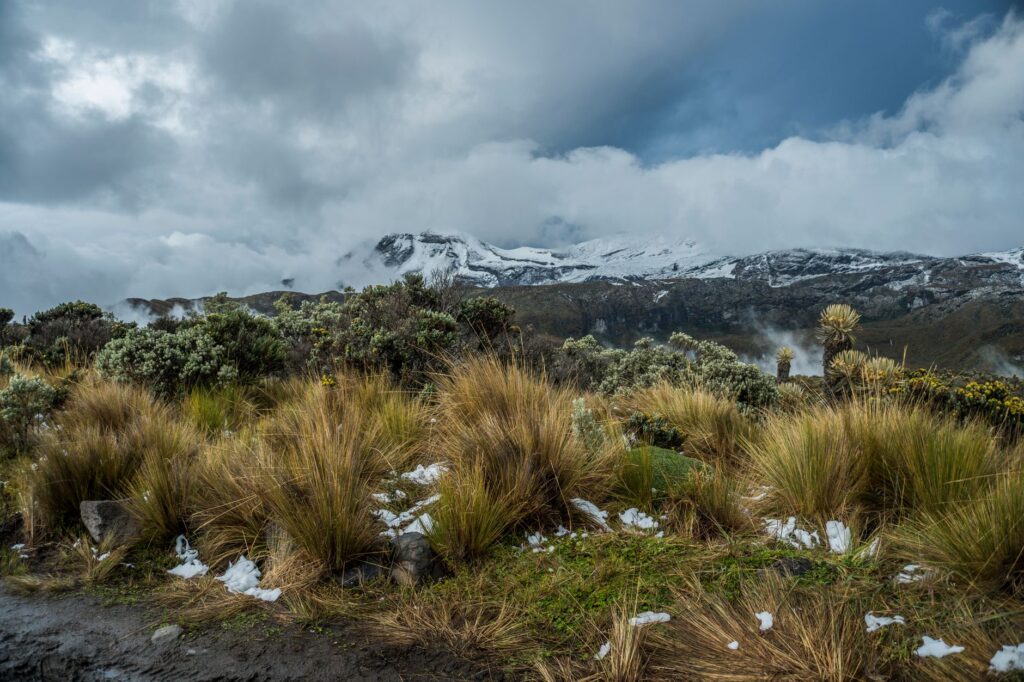 Manizales, Colombia: el agua de altura que sostiene a una ciudad entre volcanes