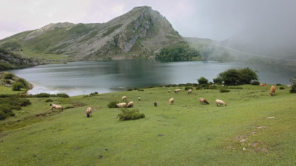 Collada de Cabrones, Picos de Europa: preparar el cuerpo y la mirada antes de caminar en España