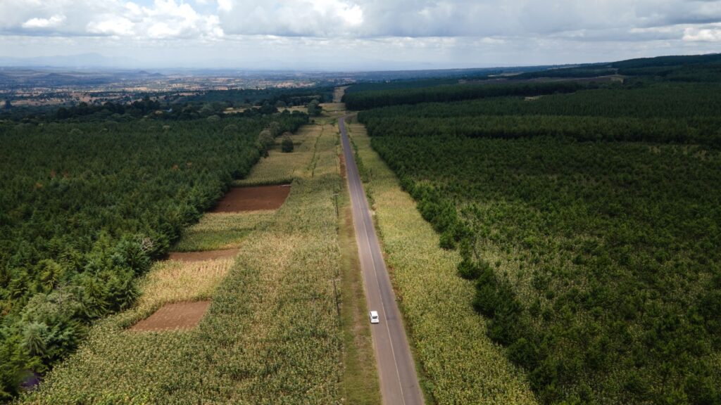 Geita, Tanzania: las colinas verdes que rodean el lago Victoria y su memoria minera