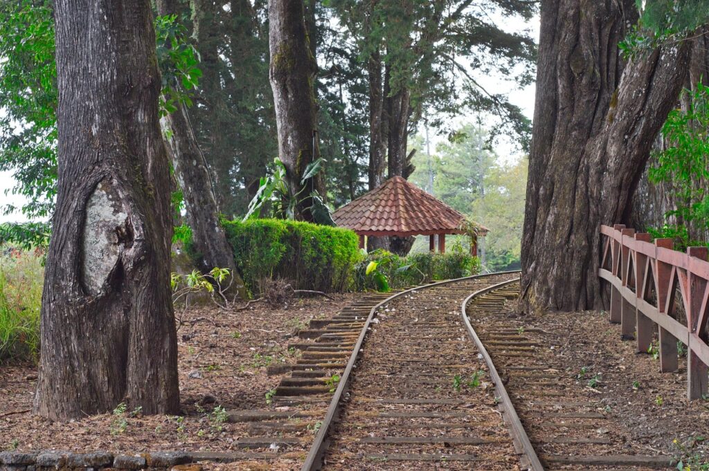 Mercedes Norte, Costa Rica: la vida barrial que se teje entre esquinas y tradiciones