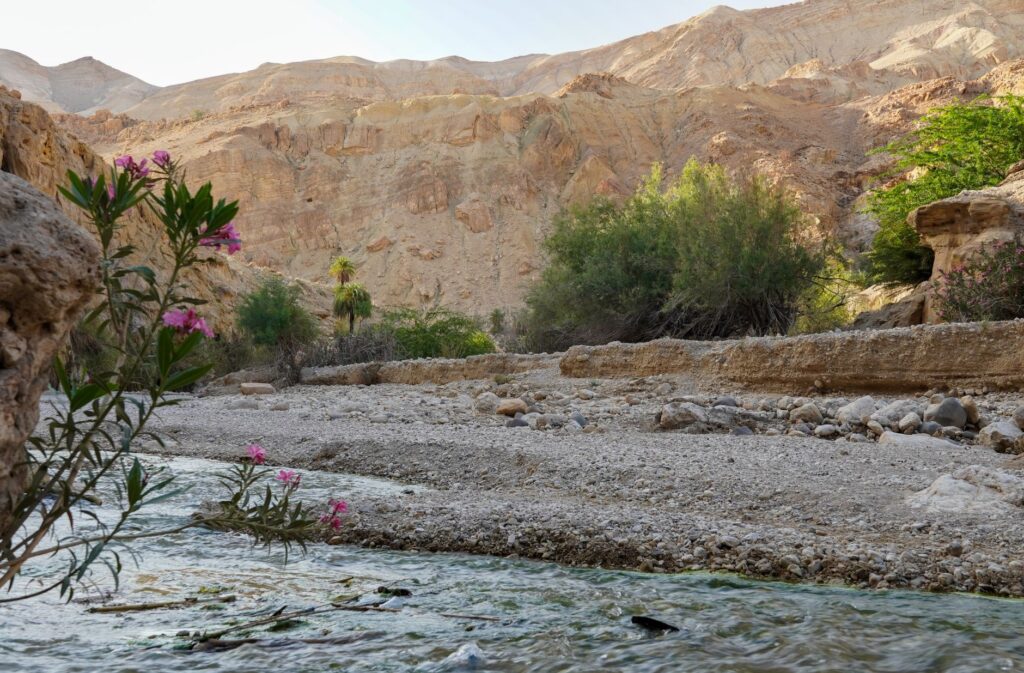 Wādī as Sīr, Jordania: las fuentes de agua y la memoria verde que sostienen el valle