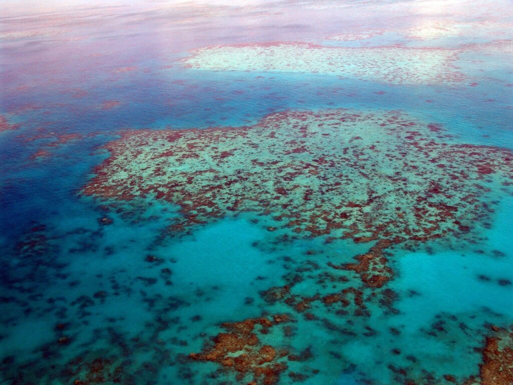 Gran Barrera de Coral: viaje al ecosistema marino más grande del planeta