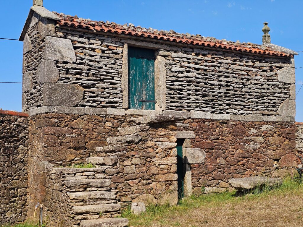 Selva de Irati, Navarra: el bosque que se recorre con permiso y paciencia