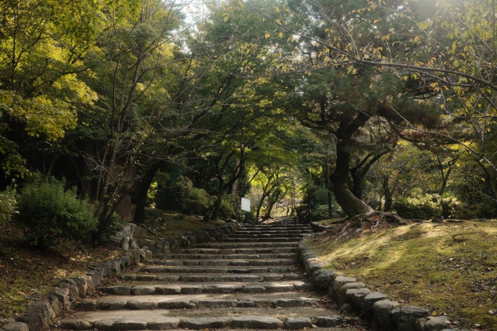 Senderismo en Kioto, Japón: cómo preparar una ruta realista entre templos y montañas