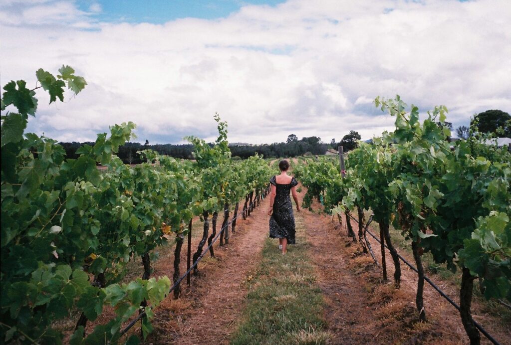 Adelaide Hills, Australia: cómo se visita una región que vive de sus huertos y su memoria