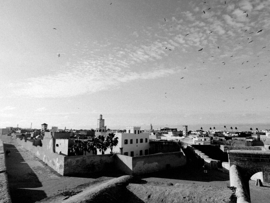 El Jadida, Marruecos: la costa atlántica donde la vida salvaje aprende a convivir con la ciudad