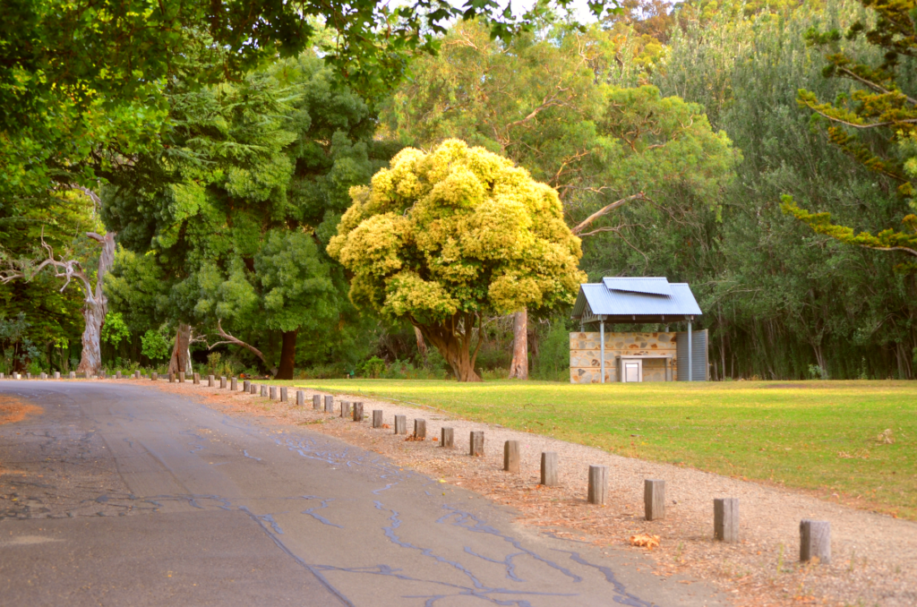Adelaide Hills, Australia: cómo se visita una región que vive de sus huertos y su memoria