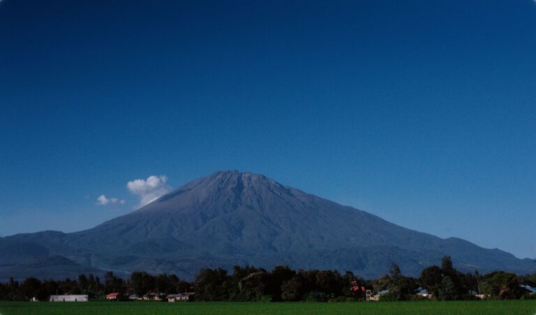 Arusha, Tanzania: A City Organised Around Its Market, Its Mountain and Its Memory