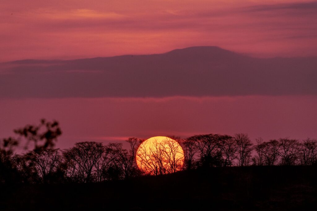 Guanacaste, Costa Rica: el bosque seco que renace entre volcanes y océano