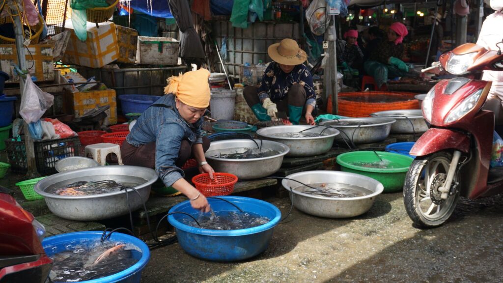 Rạch Giá, Vietnam: la ciudad que crece sobre el agua y aprende a moverse sin prisa