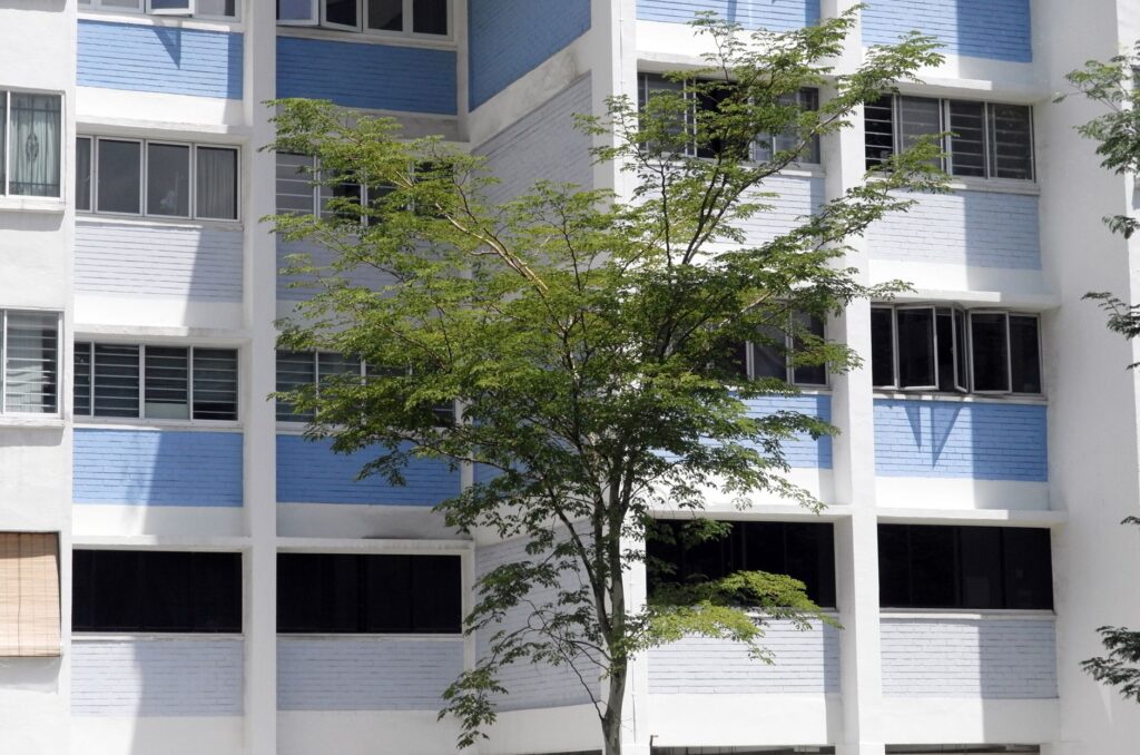 Choa Chu Kang, Singapur: el arte de convivir en una ciudad planificada