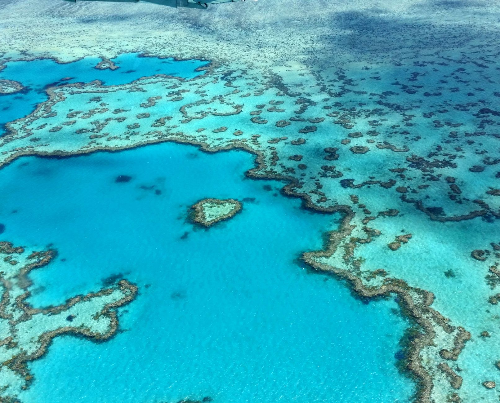 Gran Barrera de Coral: viaje al ecosistema marino más grande del planeta