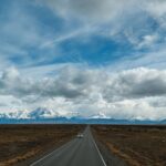 Neuquén, Argentina: la estepa patagónica donde el ciervo colorado y el cóndor comparten horizonte