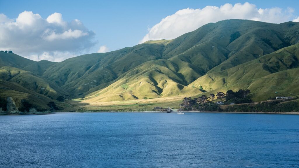 Blenheim, Nueva Zelanda: arte y memoria en la capital del vino