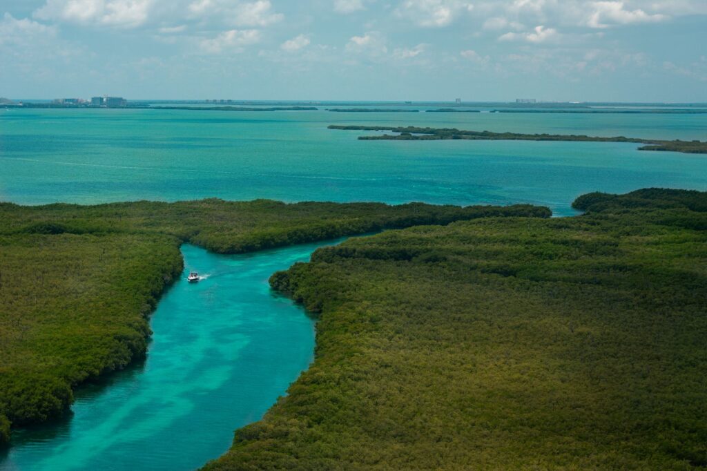 Cancún más allá de la playa: el México que vive entre manglares y memoria maya