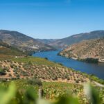 Alto Douro: el paisaje que el vino esculpió durante dos mil años