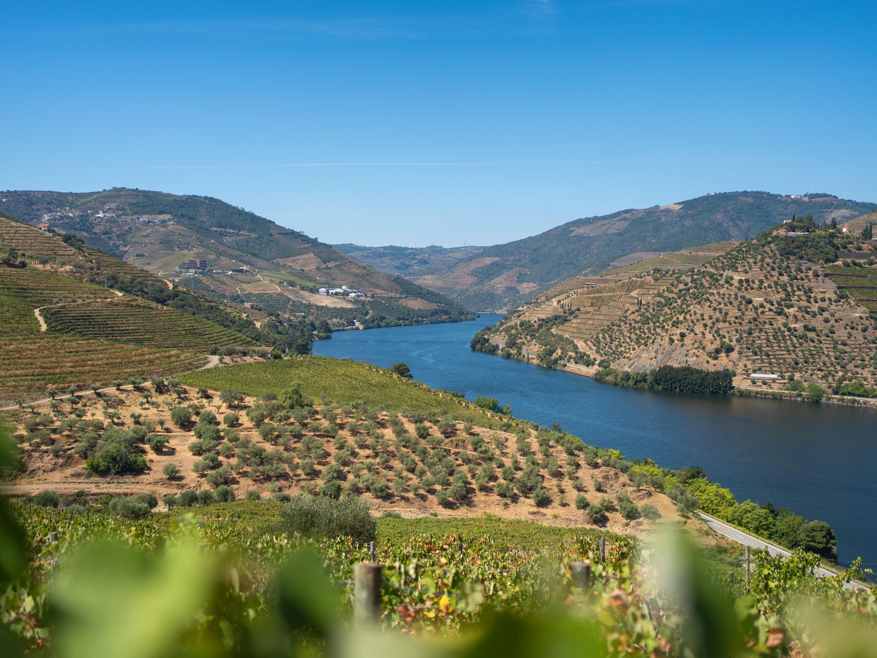 Alto Douro: el paisaje que el vino esculpió durante dos mil años