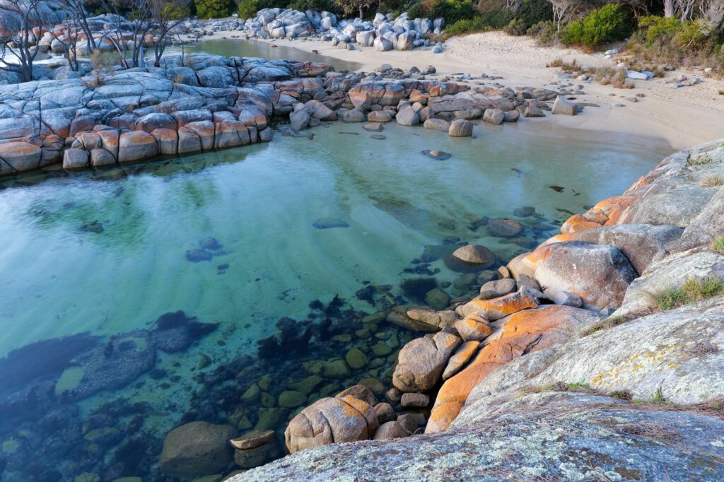 Tasmania sin coche: cómo la isla australiana teje una red de autobuses, ferris y senderos para explorar sus parques