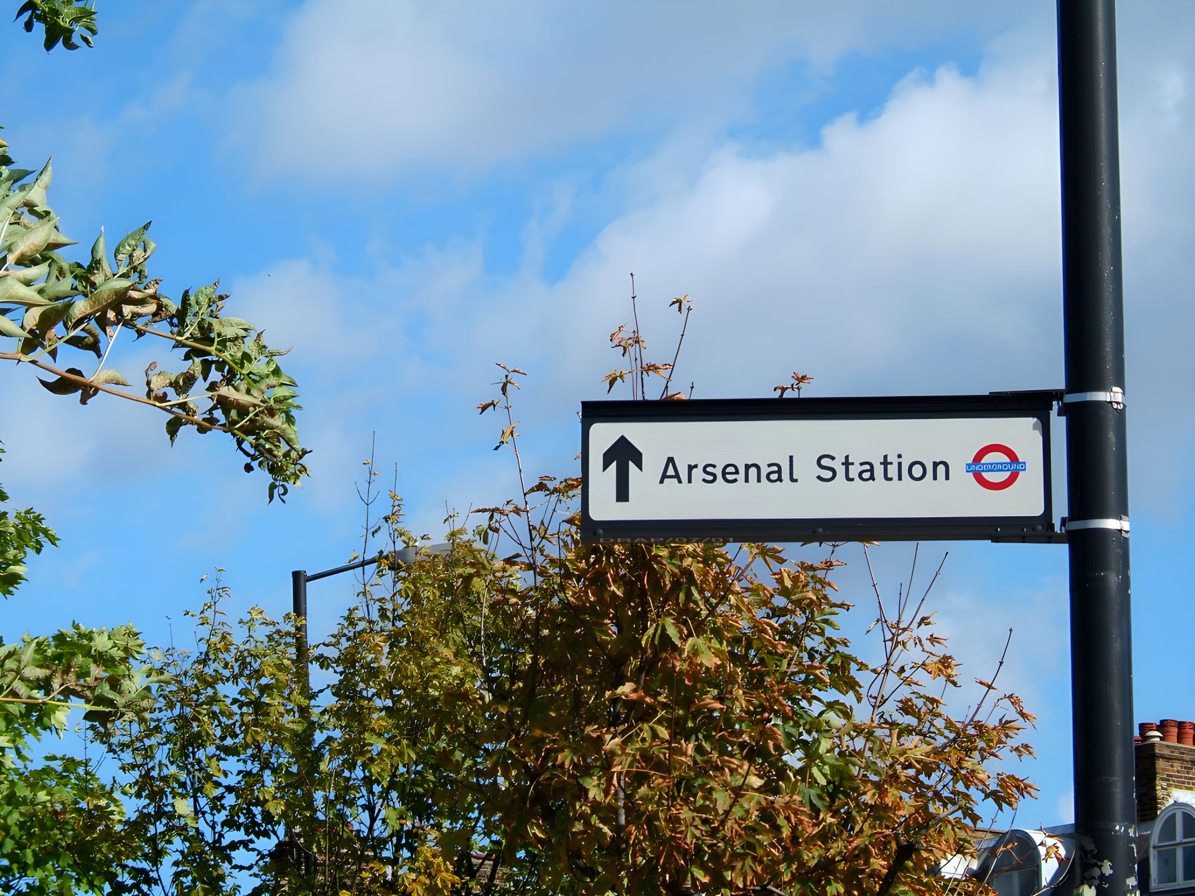 Islington, Reino Unido: la naturaleza silvestre que se abre paso entre el asfalto londinense