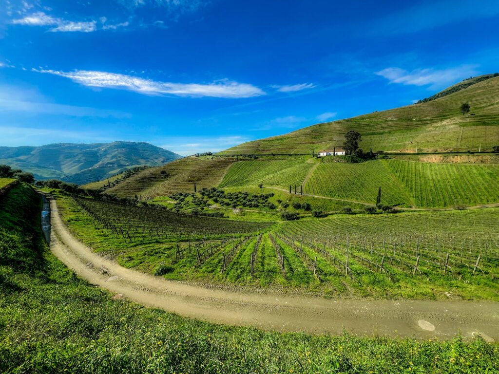Pinhão, Portugal: las terrazas del Duero que sostienen un valle habitado